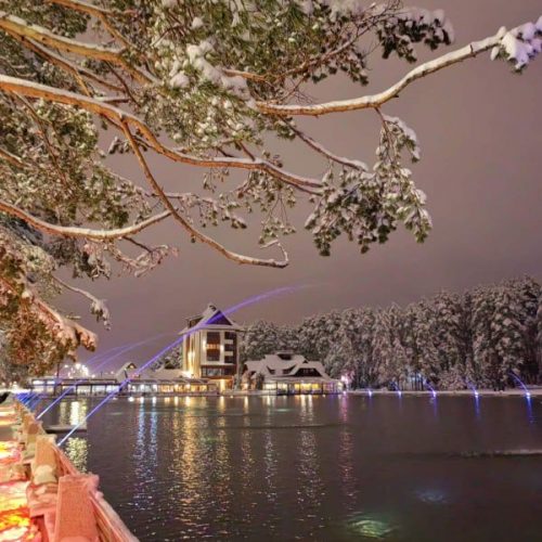 263492544_429797078623477_6786489068000876754_n