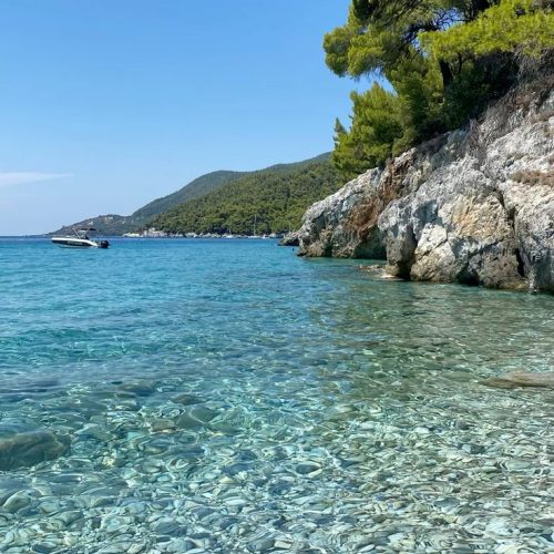 2e424049c81f64a72d14aafc2ead93b6