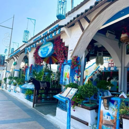 441671f54c3f7e8a295f5f9e919150c6