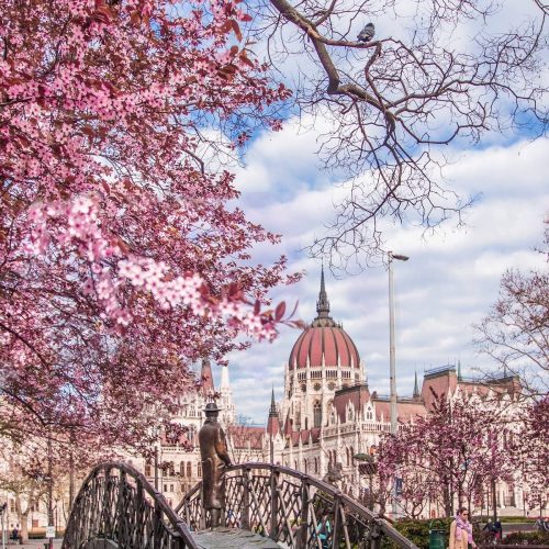 481b75e5fe9671511a3fc77ed3daa03c