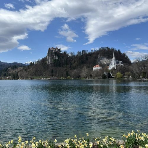 487538054_1129354179236543_122829876421157657_n-1