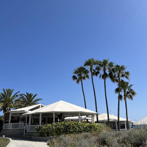 495196984_1177730861065541_2448269495609172028_n