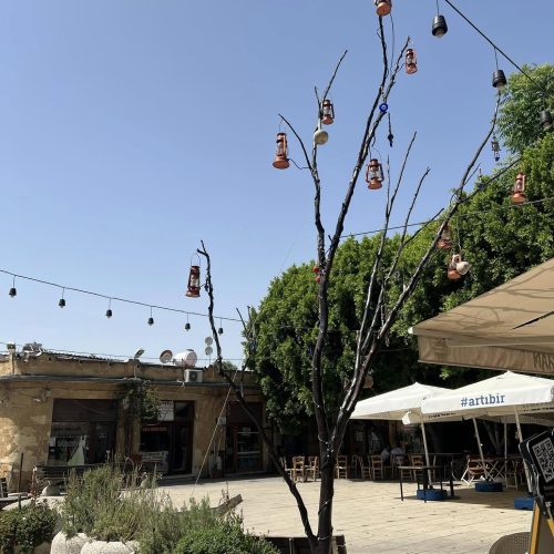 499874748_1176038304568130_2179459412597298473_n