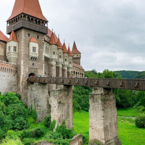 546152735_1268849785286981_7917615418243455727_n