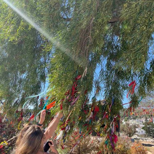 550853881_1278683927636900_1315880240191393399_n