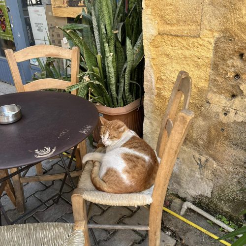 591733268_1339860944852531_3658792205808316968_n