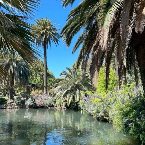 78495b479a3f4970119b14d865261929