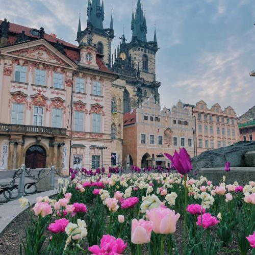 aa96986a96a5c1b302c789bc89ecd726