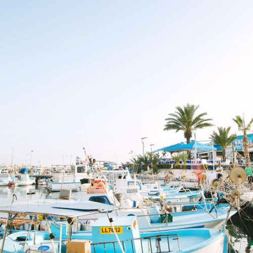 afc6460c97ca149955ead8f5fba5877e