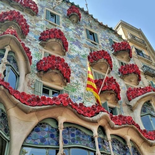 c19d813a09b4d018d9903d8dd06b196e