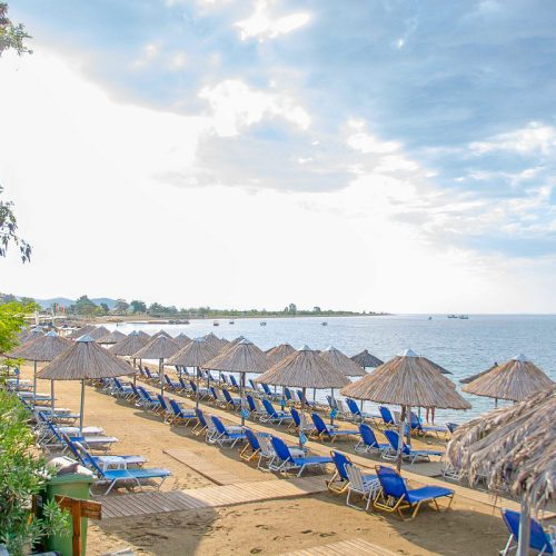 melisa gold coast-35