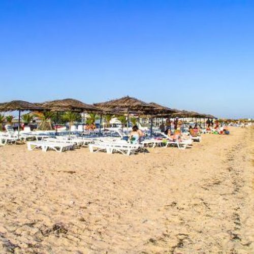 nea-flogita-gallery-3-480