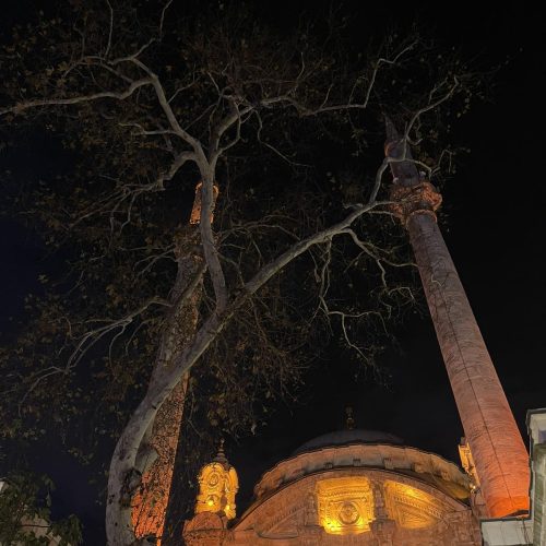 viber_image_2023-09-12_15-51-37-591