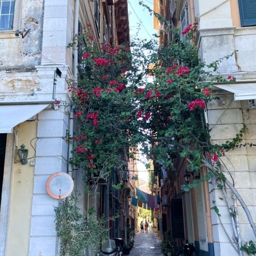 viber_image_2023-11-22_15-57-27-795