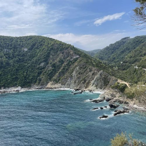 viber_image_2024-02-08_11-48-00-474