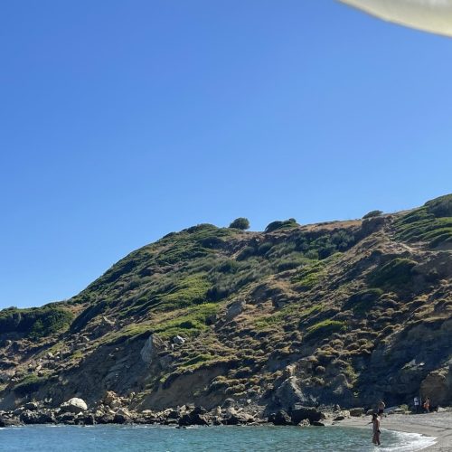 viber_image_2025-03-25_15-43-37-788