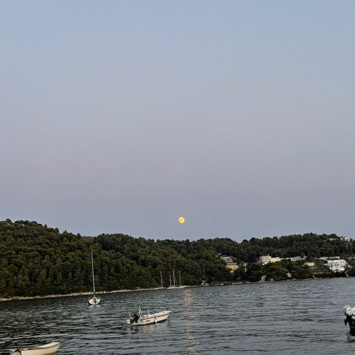 viber_image_2025-03-25_15-43-38-007