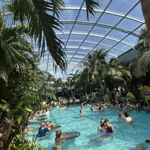 viber_image_2025-04-01_13-33-07-995