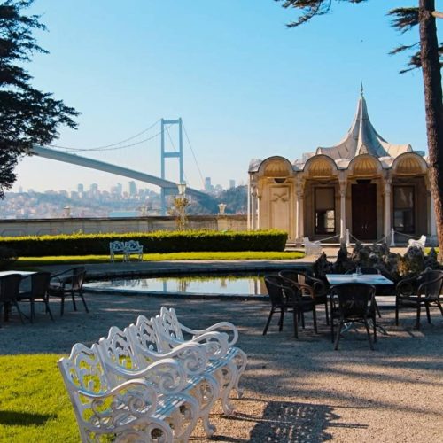 viber_image_2025-08-19_17-15-05-616