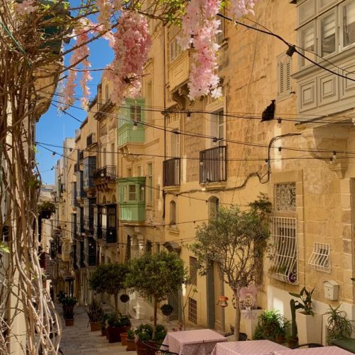 viber_image_2025-11-28_16-21-45-491