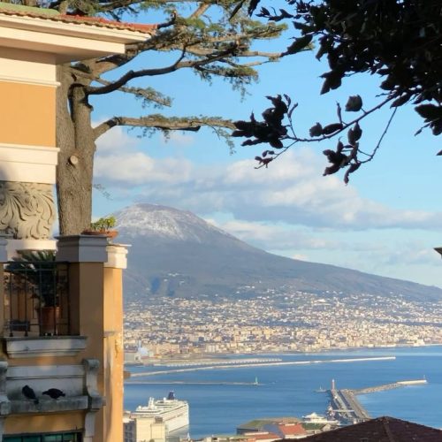 viber_image_2026-03-25_17-19-36-586